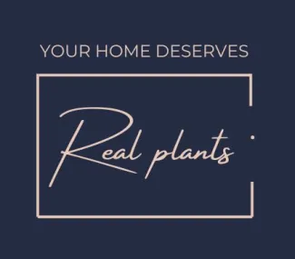 Jeuje Your Home Deserves Real Plants