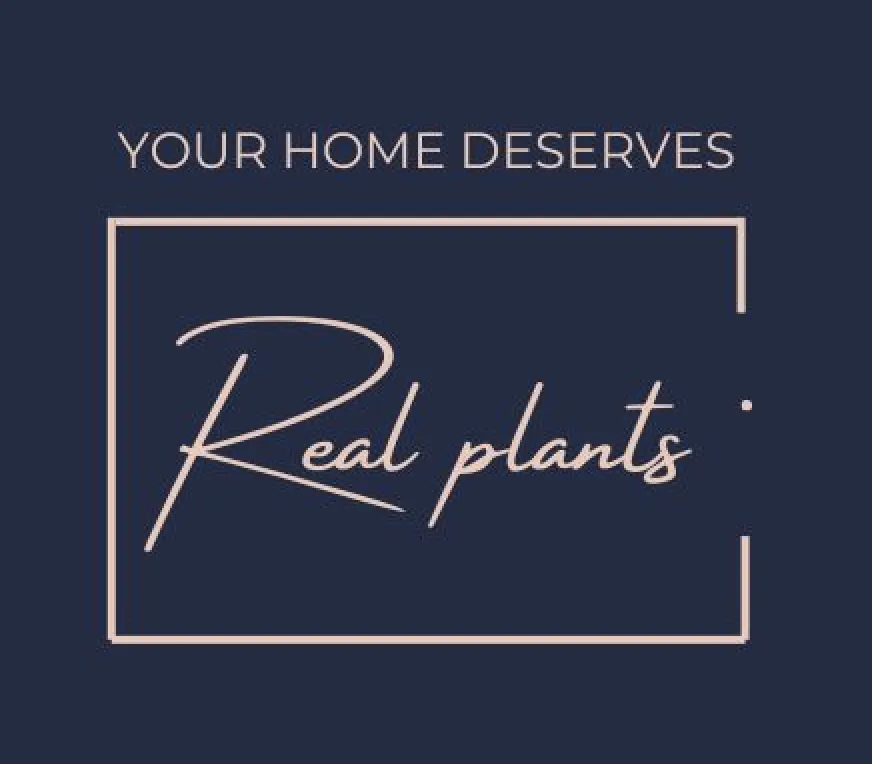 Jeuje Your Home Deserves Real Plants